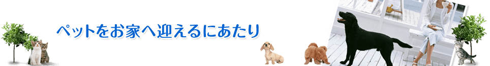 店舗紹介